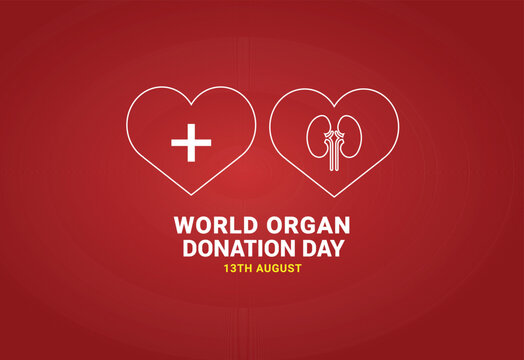 World Organ Donation Day 13th August . Organ Donation Concept Kidney With Vector Template Design For Banner, Card, Poster, Background.