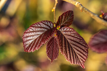 Der Herbst ist im Anmarsch