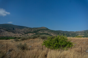 campos minados en israel