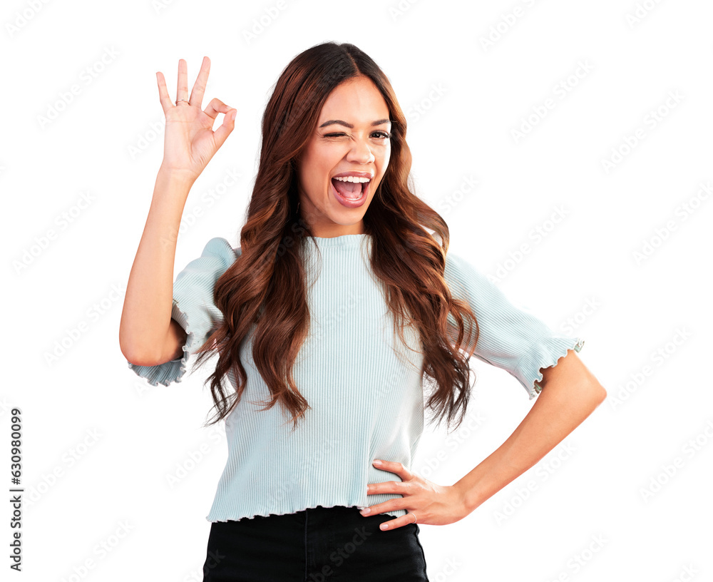 Sticker Okay, smile and wink with portrait of woman on png for like, support and motivation. Yes, emoji and agreement with face of person isolated on transparent background for wow, excited and opinion