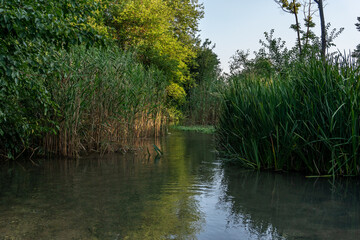 areas naturales de israel