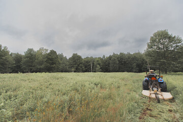 Tractor Mowing on Overcast Day near Forest