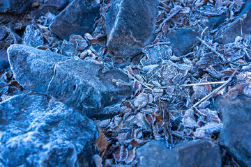 frozen lenga leafs and rocks during a cold morning in Baguilt Reserve