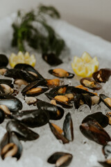 Mussels served over Ice with Lemon