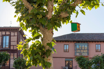 Green and yellow birdhouse on a tree in the town of Toro in Zamora, Spain