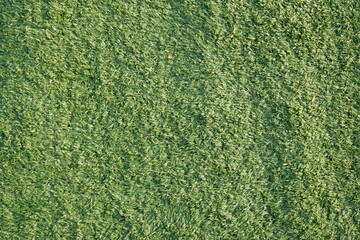 background of green synthetic grass