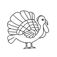 turky bird colorling line
