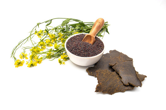 Mustard seeds, flower and cake in white ceramic bowl and wooden spoon on white background