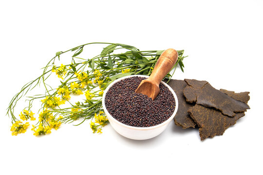 Mustard seeds, flower and cake in white ceramic bowl and wooden spoon on white background
