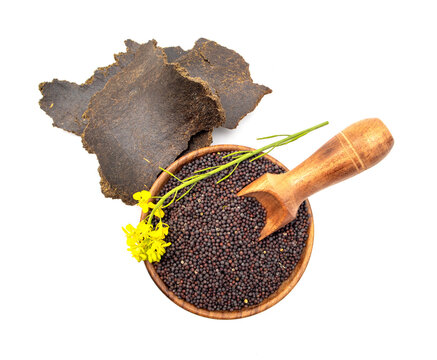 Mustard seeds, flower and mustard cake on white background