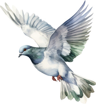 recommend clip art: Pigeon bird watercolor illustration. Generative AI