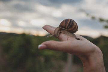The woman holding snail in vineyard © Вероника Зеленина