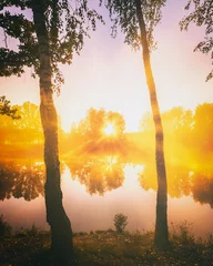 Fototapete Birkenhain Dawn on a lake or river with a sky reflected in the water, birch trees on the shore and the sunbeams breaking through them and fog in autumn. Aesthetics of vintage film.