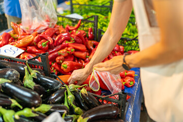 Woman buy fresh vegetable at farmer market, close-up