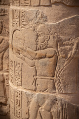Fototapeta na wymiar Vista de la isla del templo de Philae - Asuán Egipto