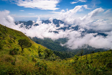 Mountain peak and sunrise covered by the sea of cloud in northern of thailand (Nan province, Thailand) เด่นช้างนอน