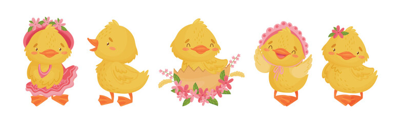 Cute Yellow Duckling with Wing and Feathers Vector Set