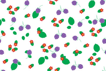 Illustration, pattern of raspberry with flower and leaf on white background.