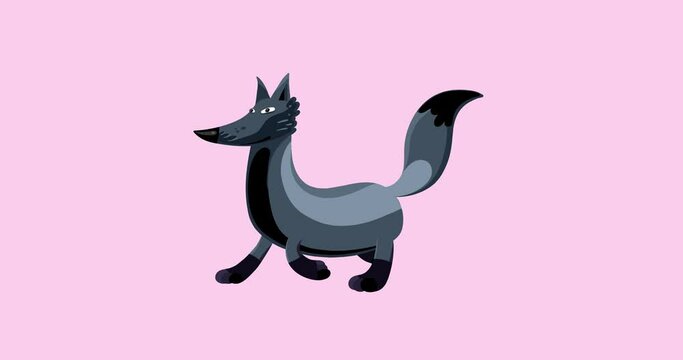 Fox silver cartoon animal character walking seamless loop. Funny isolated animal animation useful for any project.