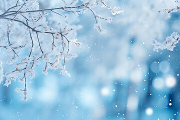 Winter season with snow caps covered branches of pine tree in Christmas festival, snowflake and bokeh glitter light background for mock up, Christmas eve new year background, with Generative Ai.