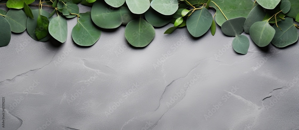 Poster green eucalyptus leaves arranged on a stone table with a frame made of eucalyptus branches. captured