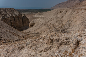 desierto de irael