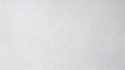 Fototapeta premium Paper texture, white
