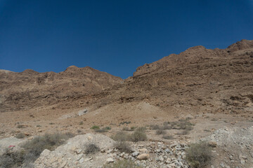 Desierto Israelí, Israel