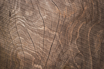 Wooden texture with cracks. Сopy space.