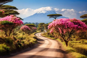 Foto auf Acrylglas Kilimandscharo Discover the breathtaking Kilimanjaro trail, winding through picturesque landscapes, offering an unforgettable journey.