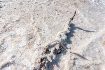 Sal del Mar muerto, Israel