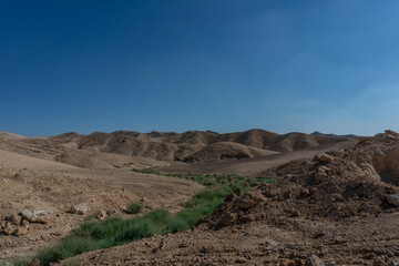 desierto de israel