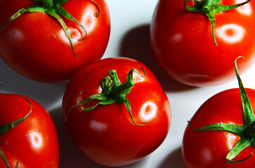 Fresh tomatoes in a white board. Harvesting tomatoes. Top view