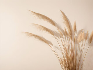Pampas grass on beige background