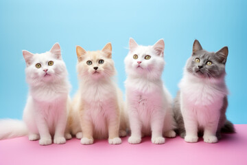 Group of cats is holding with banner. AI generated