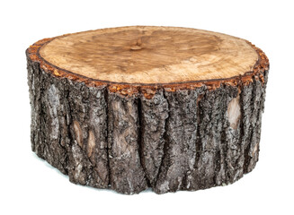 tree stump isolated 