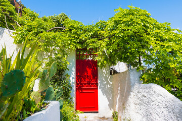 Fototapeta na wymiar House with red door and green plants. Plaka district, Athens, Greece.