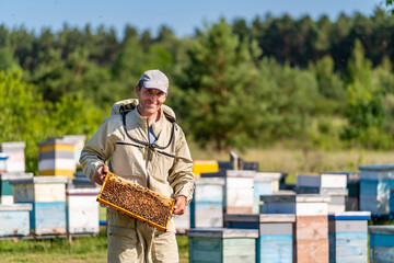 Man holding a beehive among a group of beehives in a beekeeping farm. A man holding a beehive in...