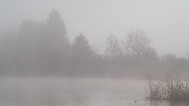 t&ecirc;te du lac de joux Fr&uuml;hling Morgen 09