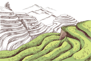 Terraced rice fields in the mountains