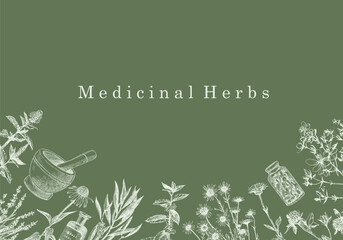 Medical Herbs. Hand-drawn illustration of herbs and objects. Ink. Vector