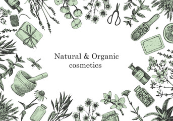 Natural and Organic Cosmetic. Herbs. Hand-drawn illustration of plants and objects. Ink. Vector
