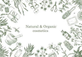 Natural and Organic Cosmetic. Herbs. Hand-drawn illustration of plants and objects. Ink. Vector