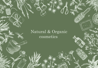 Natural and Organic Cosmetic. Herbs. Hand-drawn illustration of plants and objects. Ink. Vector