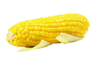 Boiled Corn Cob on Transparent PNG Background