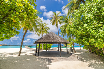 Tropical beach coast, Maldives. Pier pathway into tranquil paradise island. Palm tree leaves white sand and blue sea. Relax summer vacation landscape or holiday banner. Beautiful tourism destination