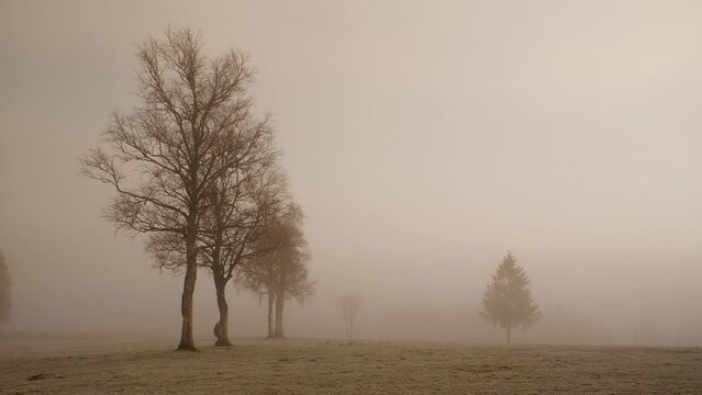 Sumpf Vall&eacute;e de Joux Fr&uuml;hling Morgen 07