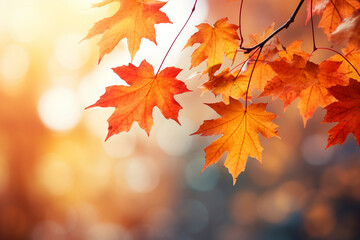 border of orange maple leaves on a branch with bokeh in the background, autumn vibes - obrazy, fototapety, plakaty