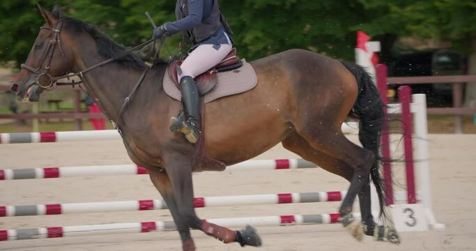 Competitive woman rider on horse jumping over obstacles, slow motion, equestrian competition outdoors. Training jumping hurdle