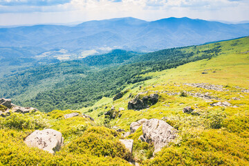Fototapeta na wymiar Beautiful view of the Ukrainian mountains Carpathians and valleys.Beautiful green mountains in summer with forests, rocks and grass. Water-making ridge in the Carpathians, Carpathian mountains